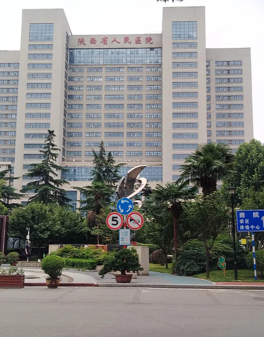 晋城西安体检服务-第1张图片-代解忧